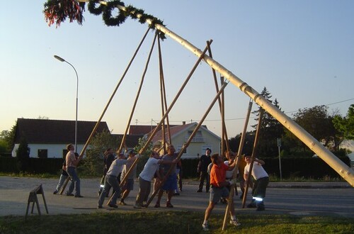 Maibaumaufstellen