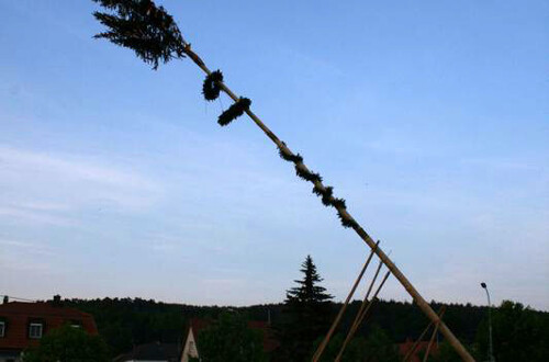 Maibaumaufstellen