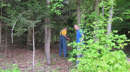 30.04.2011 - Maibaumaufstellen