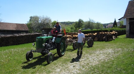 28.04.2012 - Maibaumaufstellen