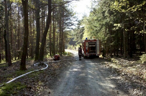Waldbrand in Neuhaus