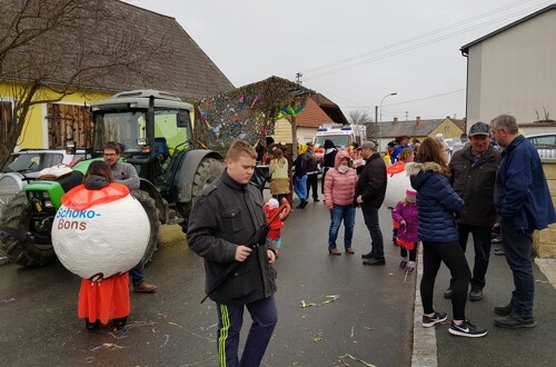 Faschingsumzug in Rohrbach