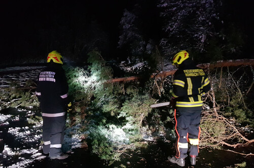 Baum blockiert Straße