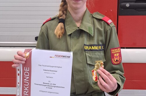 Feuerwehrjugend-Leistungsabzeichen in Gold