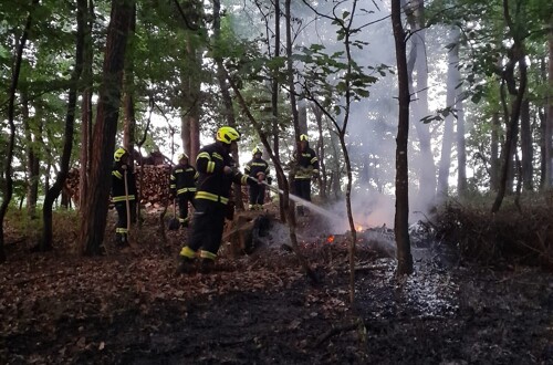 Waldbrand rasch gelöscht